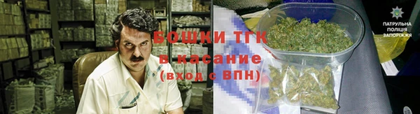 прущие грибы Арсеньев