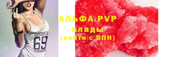 твердый Аркадак