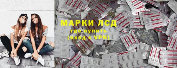прущие грибы Арсеньев