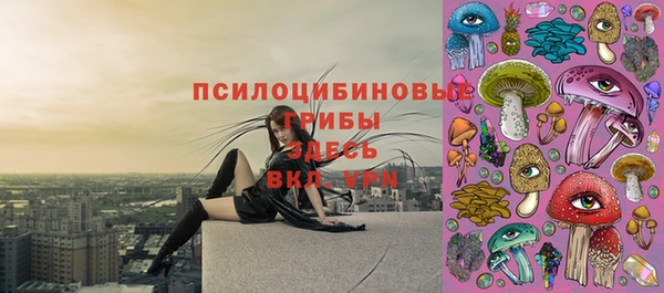 прущие грибы Арсеньев