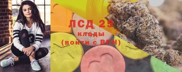 твердый Аркадак