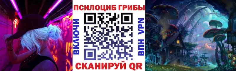 как найти закладки  Асбест  Псилоцибиновые грибы Cubensis 